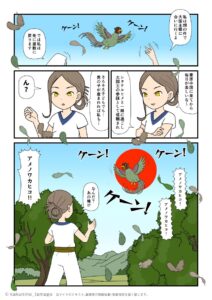 国譲り交渉を放棄しているアメノワカヒコの前に現れたナキメの古事記漫画とイラスト